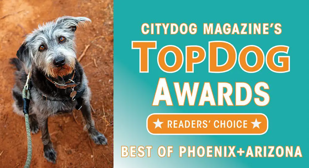 Phoenix Top Dog Awards